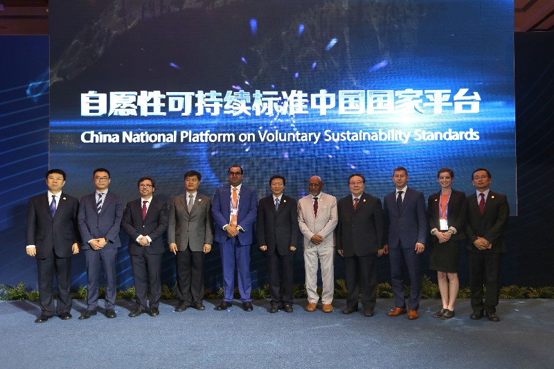 The Launch of Chinese national platform on VSS